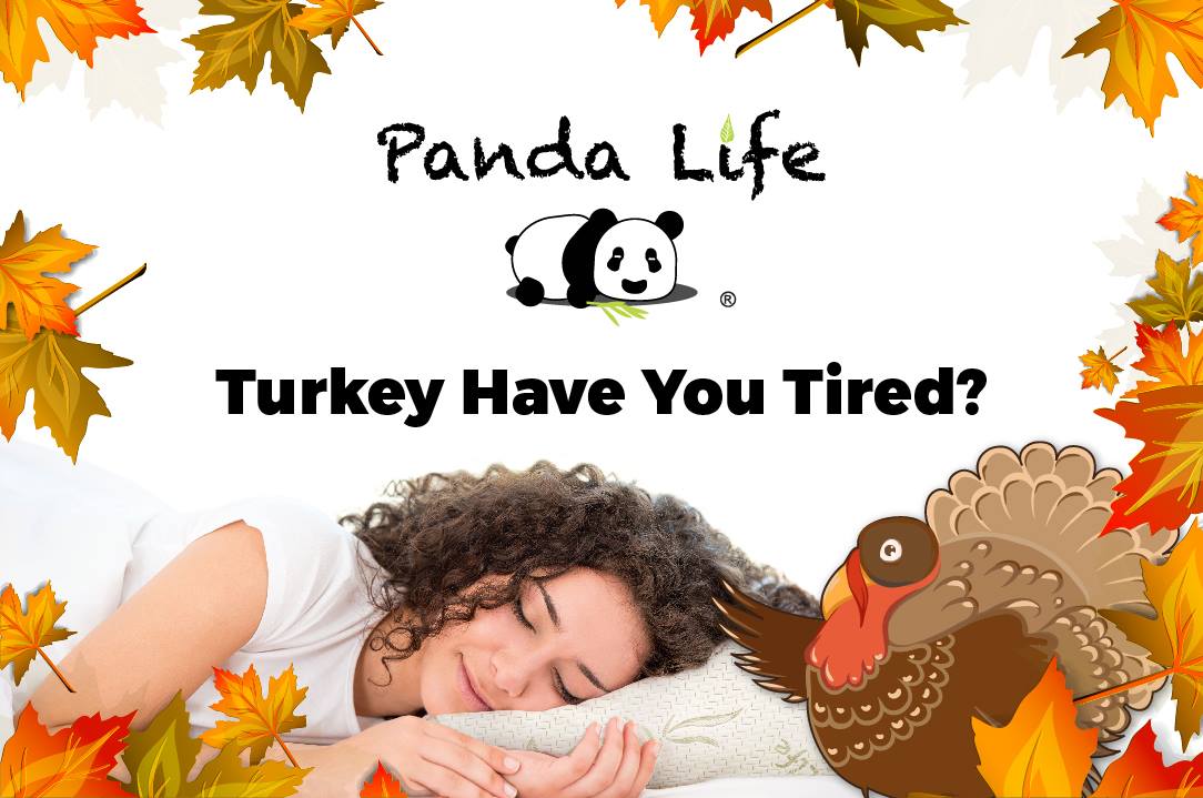 Panda Life Pillow at Costco Humble