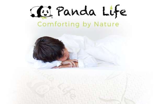 Panda Life Pillow at Costco Cumberland Mall