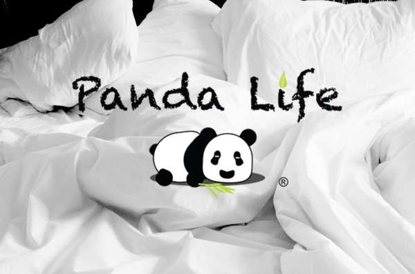 Panda Life Pillow at Costco E Jacksonville